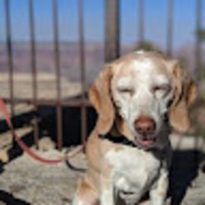 Meet your Posher, Megen